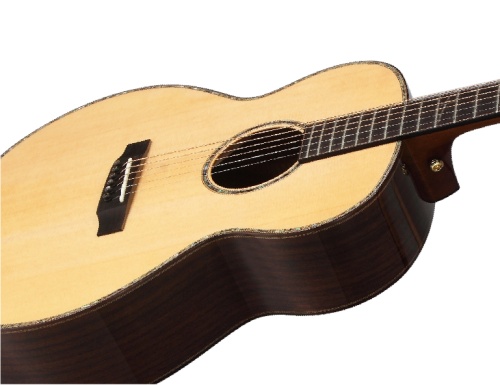 STARSUN F2 Electroacoustic фото 2