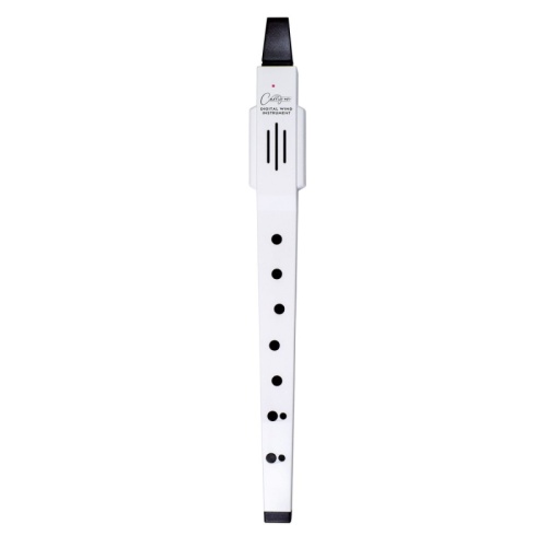 Carry-On Digital Wind Instrument White