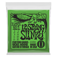 ERNIE BALL P02230