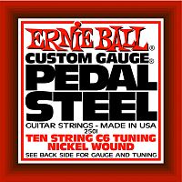 Ernie Ball 2501